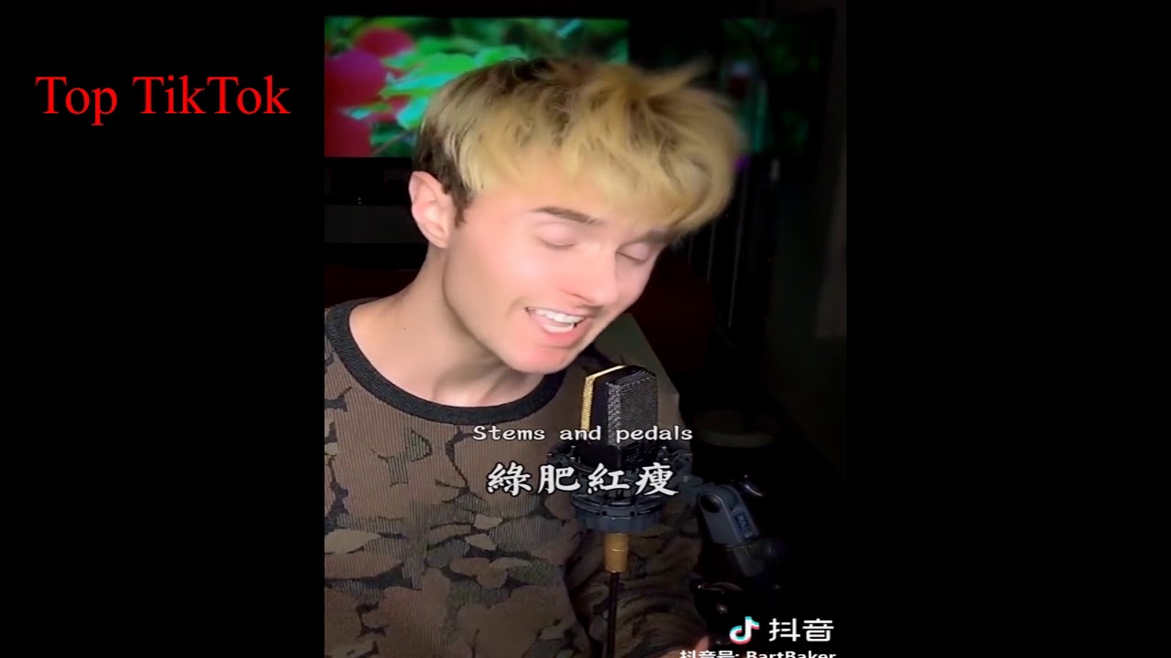 Bart Baker TIKTOK Song part 3