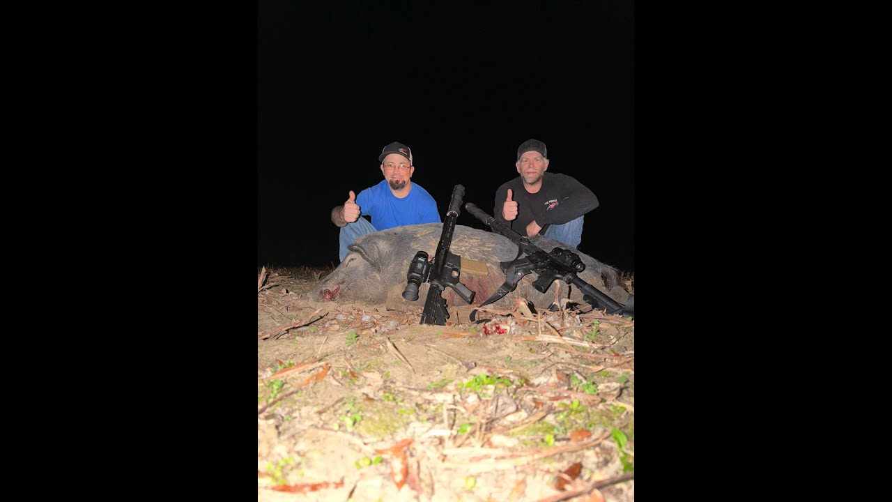 Deer Season Gone, Pig Season Begins