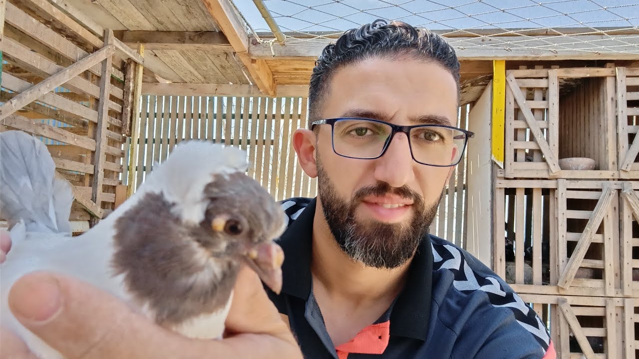 القول المفيد فى القضاء علي مرض الجدرى العنيد 🦠🦠 في الحمام
