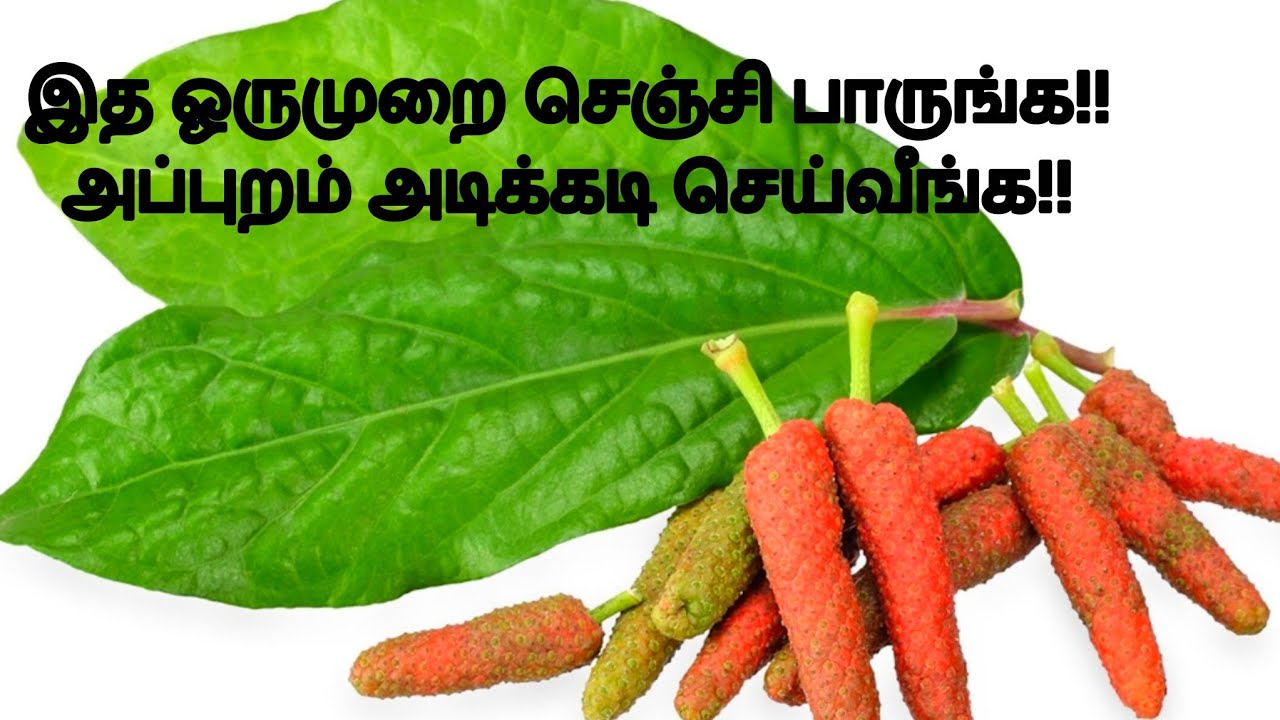 சளி தொல்லை இனி இல்லை!!! Thippili rasam recipe 
