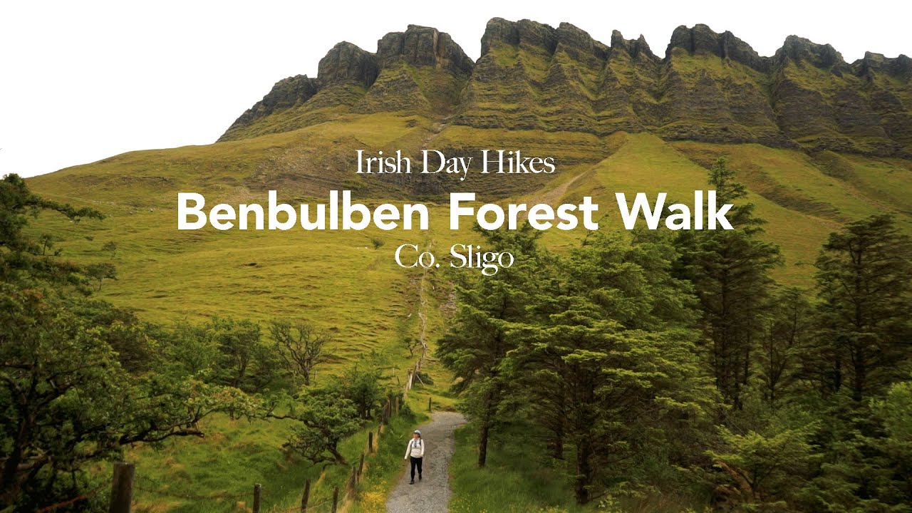 Benbulben Forest Walk 👣 Irish Day Hikes