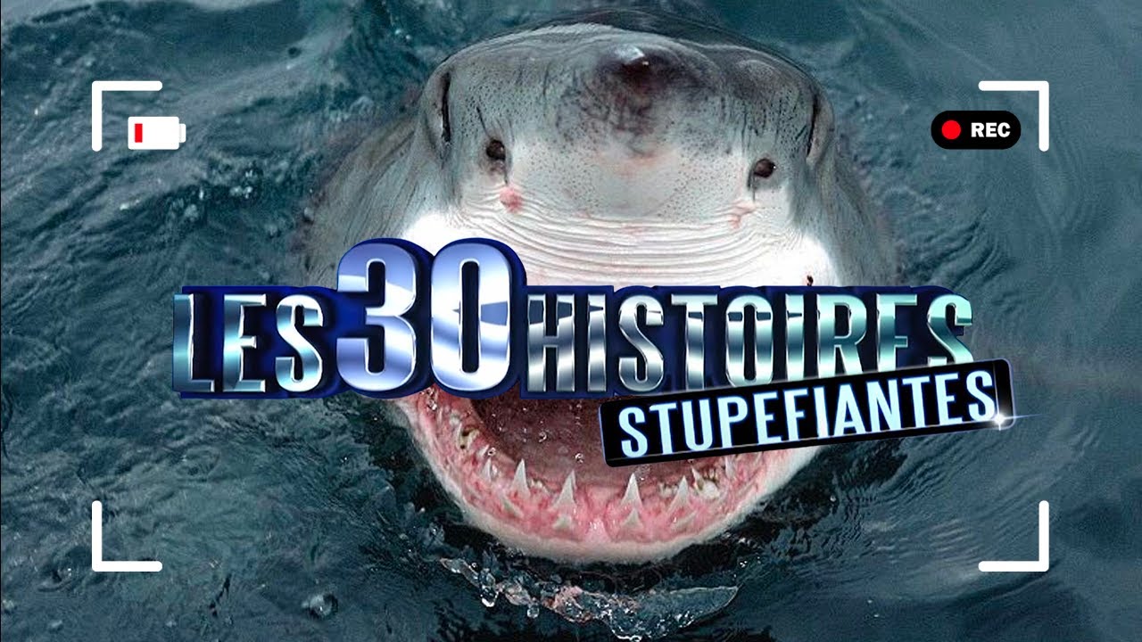 Les 30 Histoires les plus STUPEFIANTES ! Vous n'allez pas le croire.. 😳😳 - PS032017