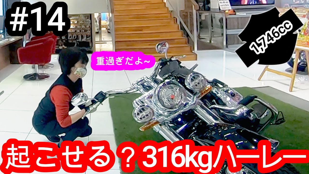【引き起こし】女でも起こせる！？ 倒れた316kgハーレーは激重です！【ソフテイルデラックス】