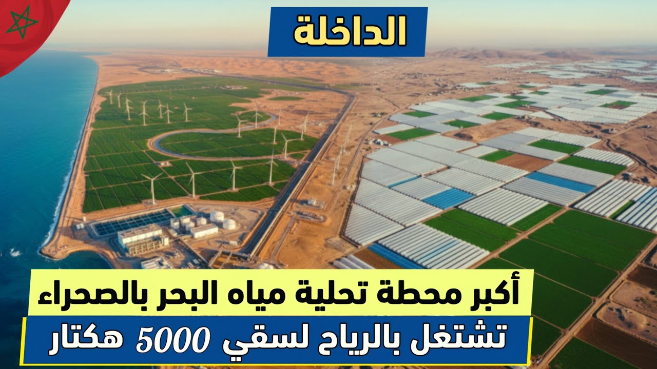 المغرب ينجز أكبر محطة تحلية مياه البحر بالصحراء المغربية تشتغل بالرياح شمال الداخلة
