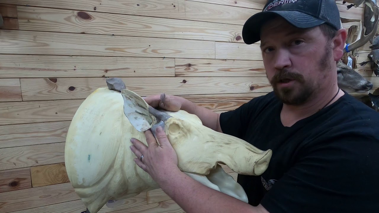 Positioning Hog Ears