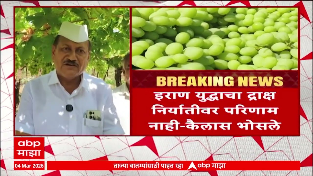Sangli Grapes :  युद्धाचा द्राक्ष निर्यातीवर परिणाम नाही, निर्यात सुरळीत सुरु, बाजारभाव समाधानक