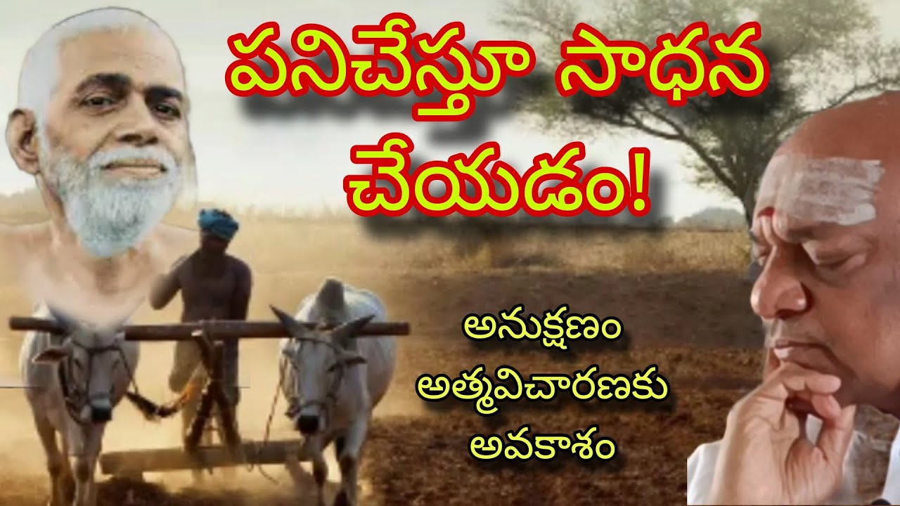 WORK IS GATEWAY TO SADHANA ll పని సాధనకు ఆటంకం కాదు సోపానం ll ది.05.02.24 #work 🪴🪷🪴