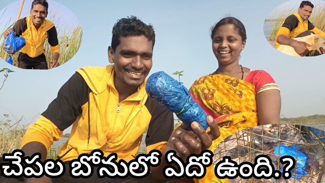 🎁మత్స్యకారిగా ఇదేమిటో నాకుతెలియదు.కానీ ఒక్కYouTuberగా ఇదినాకు బంగారంతోసమానం|Google Adsense Letter..