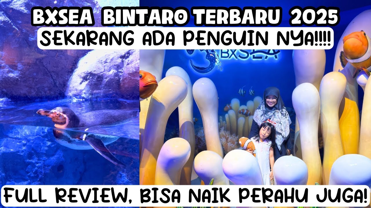 ADA PENGUINNYA‼️ BXSEA BINTARO TERBARU 2025 | REVIEW TERBARU BXSEA AQUARIUM | NAIK PERAHU DI BXSEA