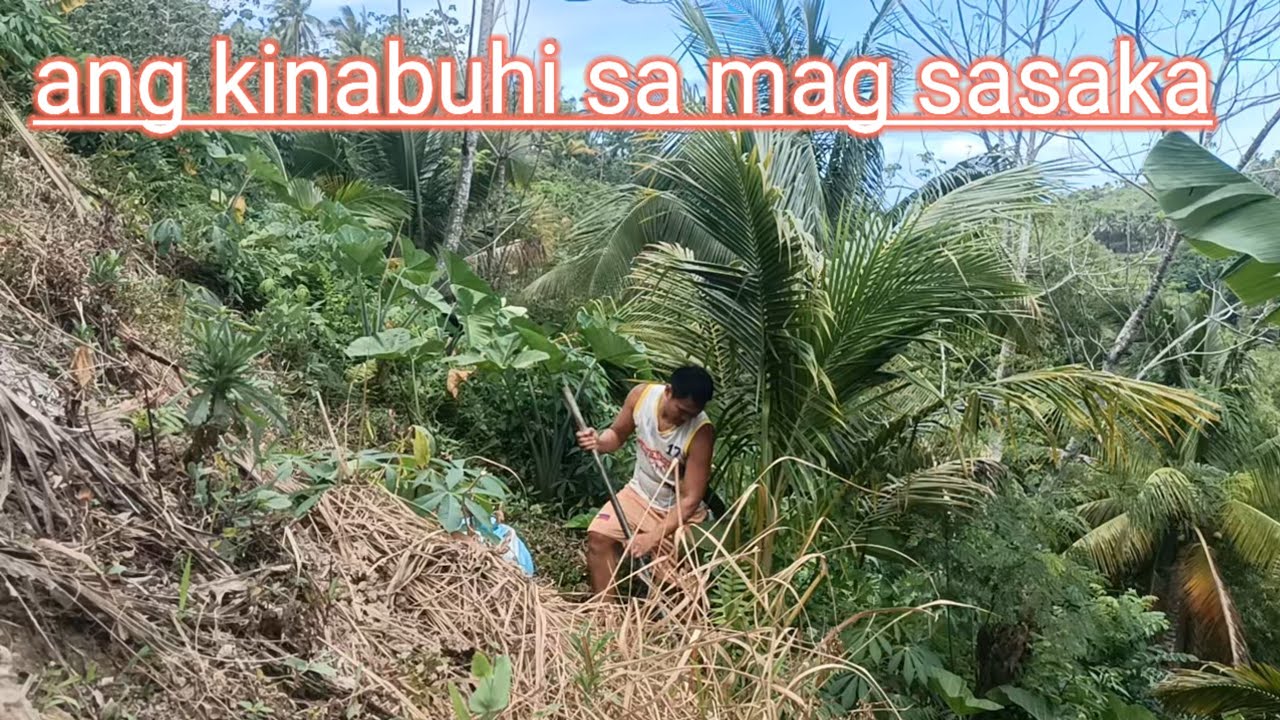 Ang kinabuhi sa mag sasaka #magsasaka 