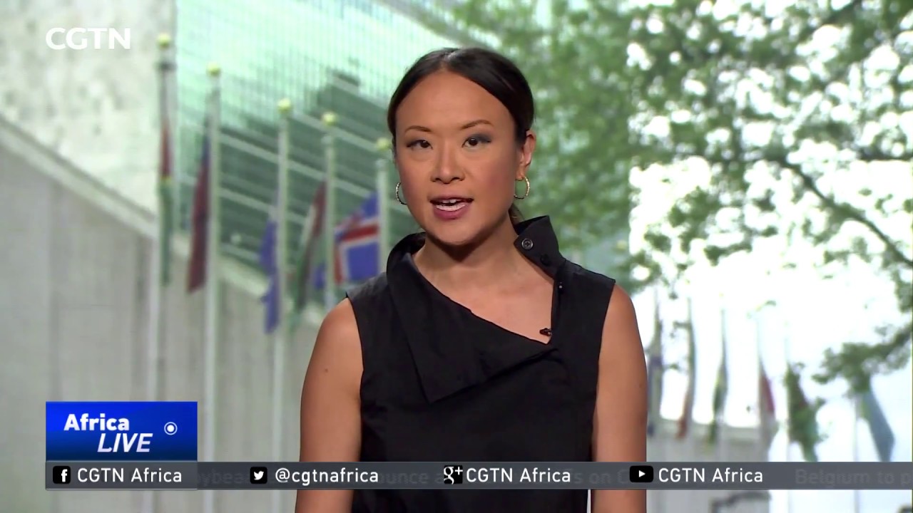 UN Security Council imposes arms embargo, sanctions