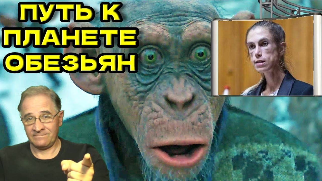 Путь к Планете Обезьян | Новости 7-40, 13.2.2026