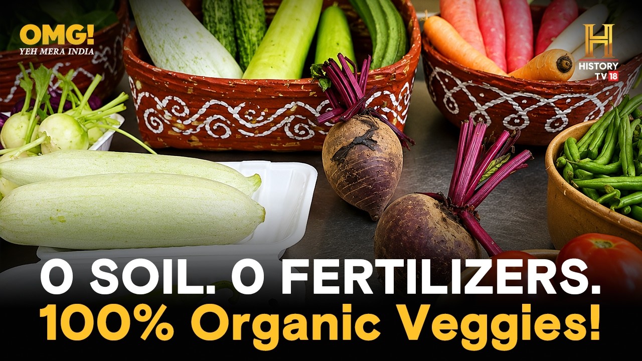 Aquaponics: The future of farming that requires no soil or fertilizers! #OMGIndia S06E10 Story 3