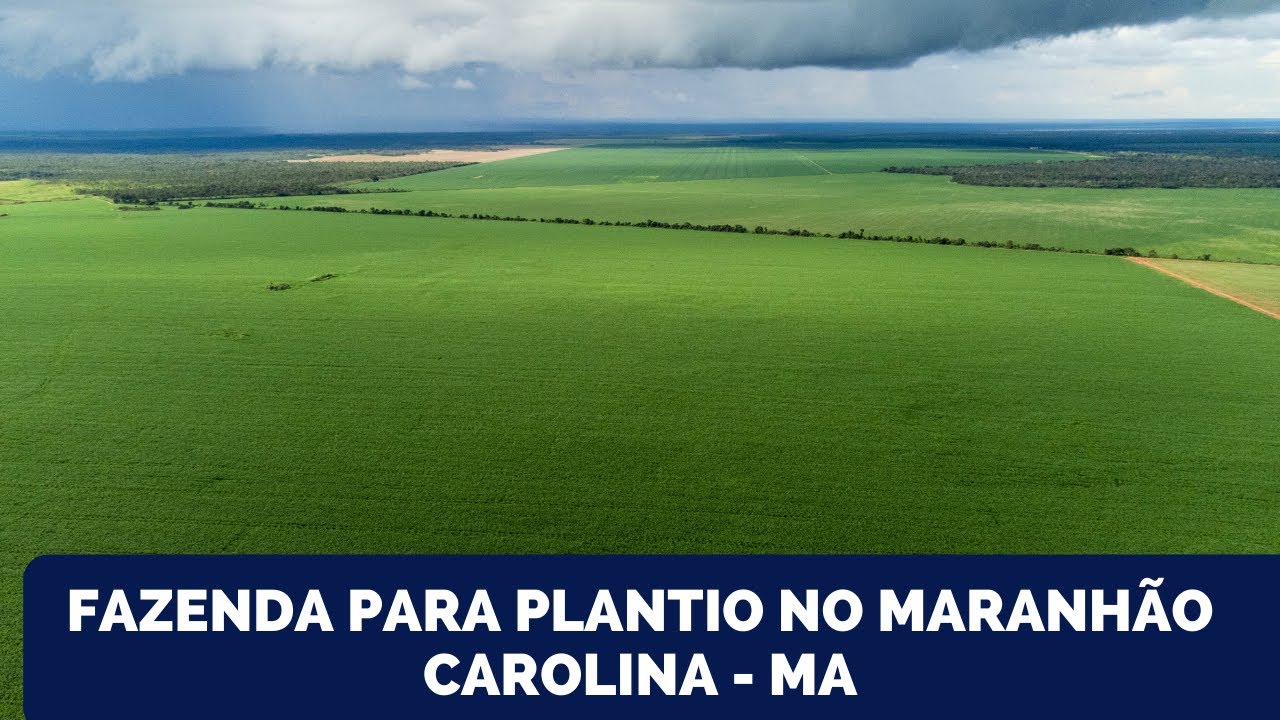 FAZENDA PARA PLANTIO NO MARANHÃO - CAROLINA-MA