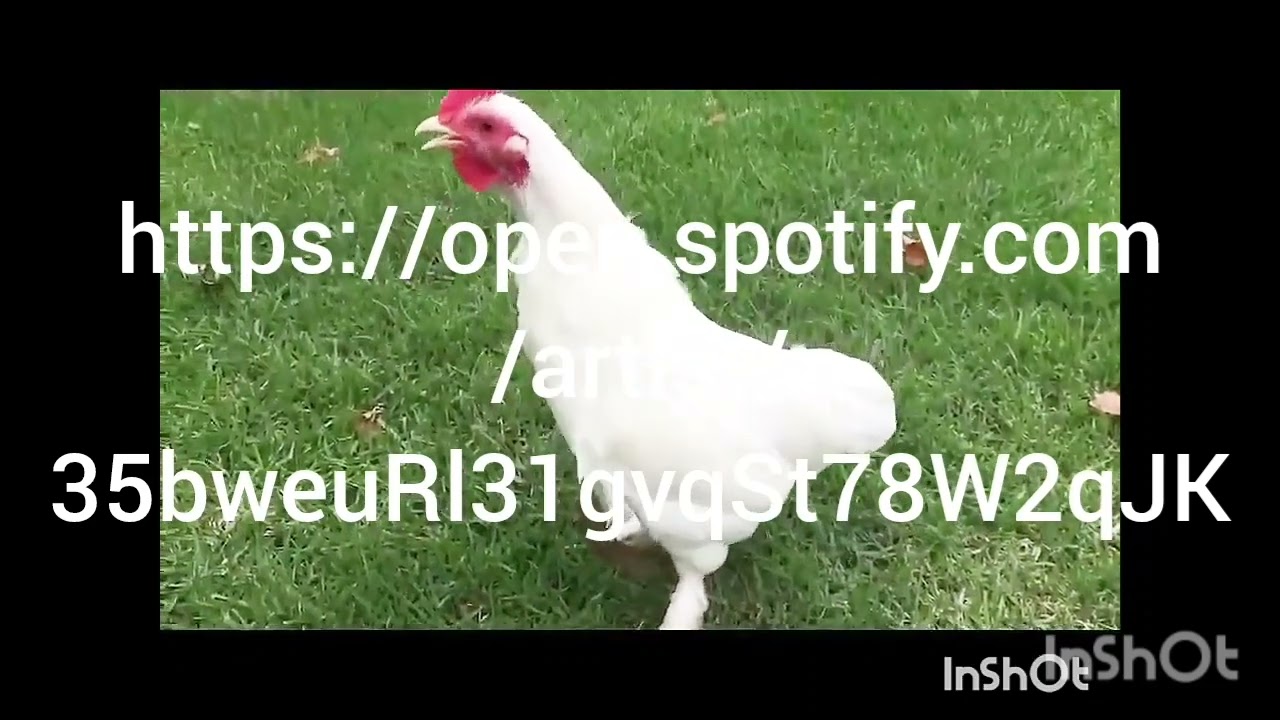 KIPSATE BARBEQUE 🎶🎶🐓🐔🦃🐓SONG 