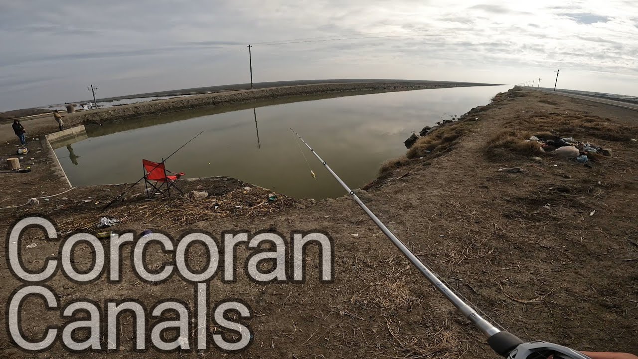 Winter Crappie fishing | Corcoran Canal