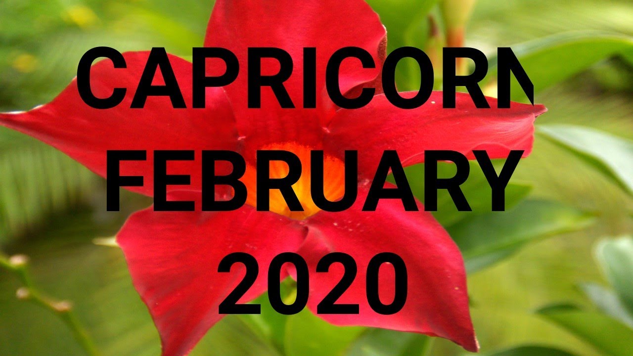 Козерог Таро Февраль 2020 👑💲Ваше процветание! «Любовь и Деньги Ясновидящее Психическое Чтение»