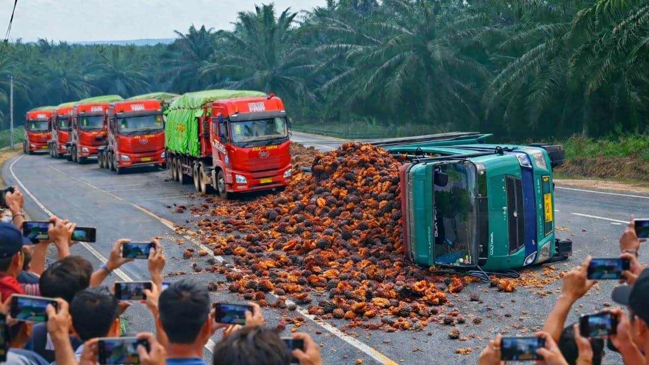 Truck Terbalik || Ramai nya Truck Siba Surya Truck Faw Jh6 Melintas Di Tanjakan Bukit Kodok
