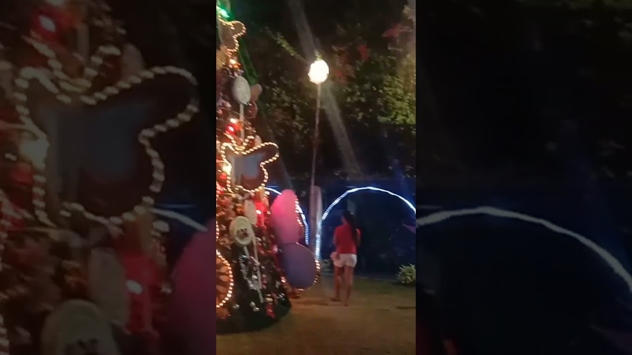 Butterfly christmas tree😯😯😯