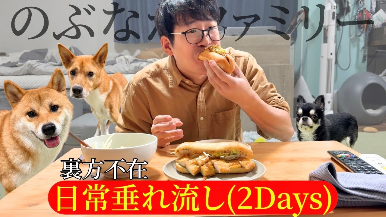 【リアルな日常】多頭飼いアラフォーと3頭のゆるい日々