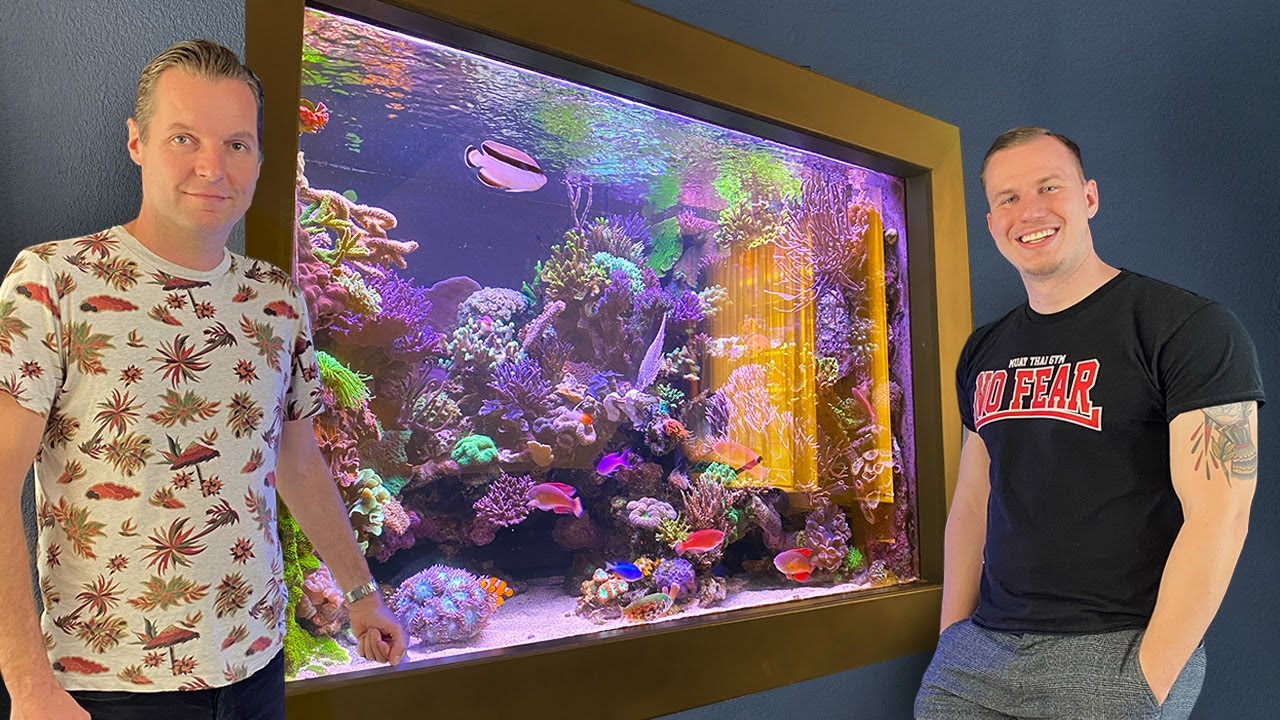 High exclusive REEF TANK - Part II - saltwater aquarium masterpiece - *Tour of rare fish*