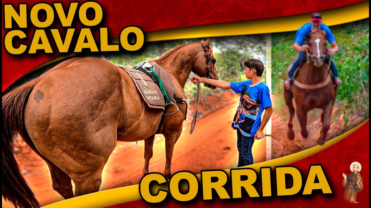 Nosso NOVO Cavalo de Corrida