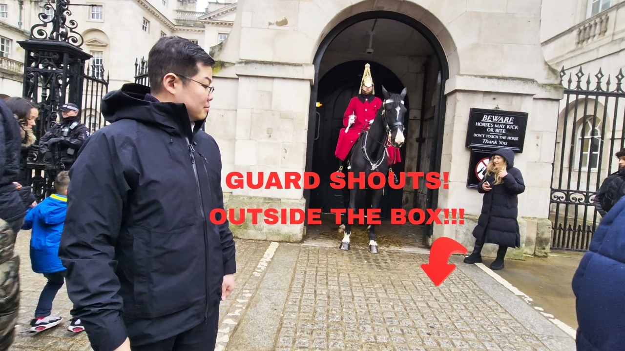 The Moment the Horse Guard Shouts at a Tourist