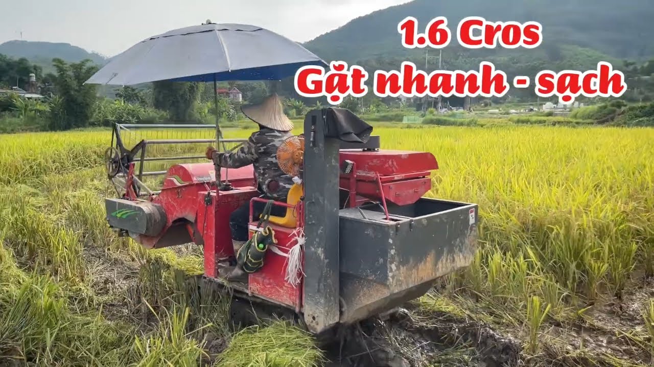 M&aacute;y gặt l&uacute;a mini 1.6 Cros gặt nhanh - sạch - hiệu quả