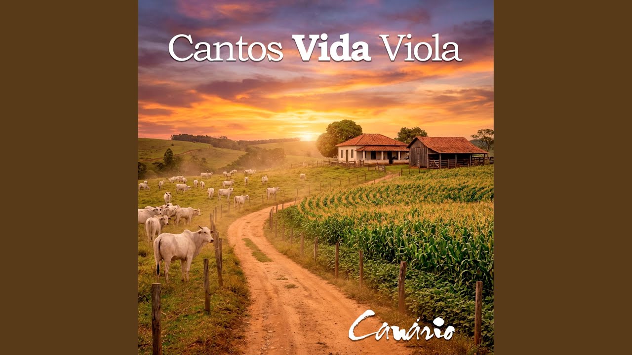 Tempo é Vento