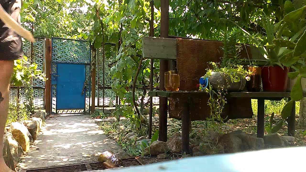 VIDEO0058