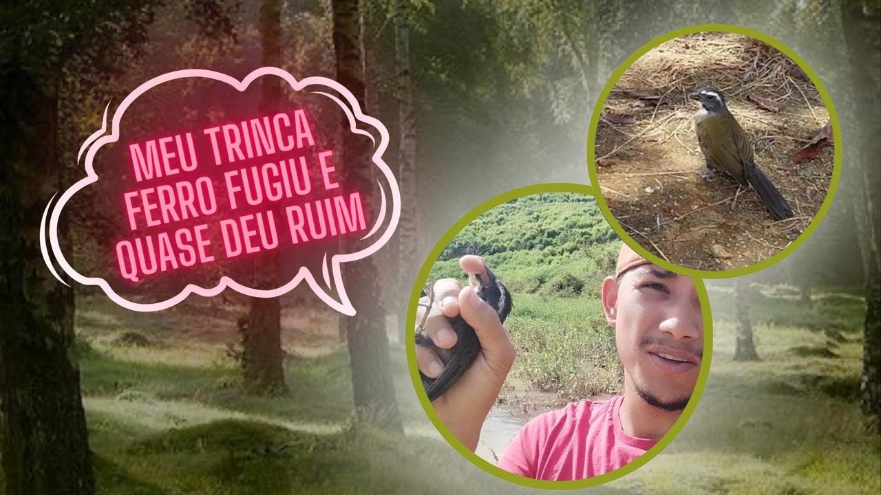 Meu trinca ferro fugiu quase que deu ruim no final 😅