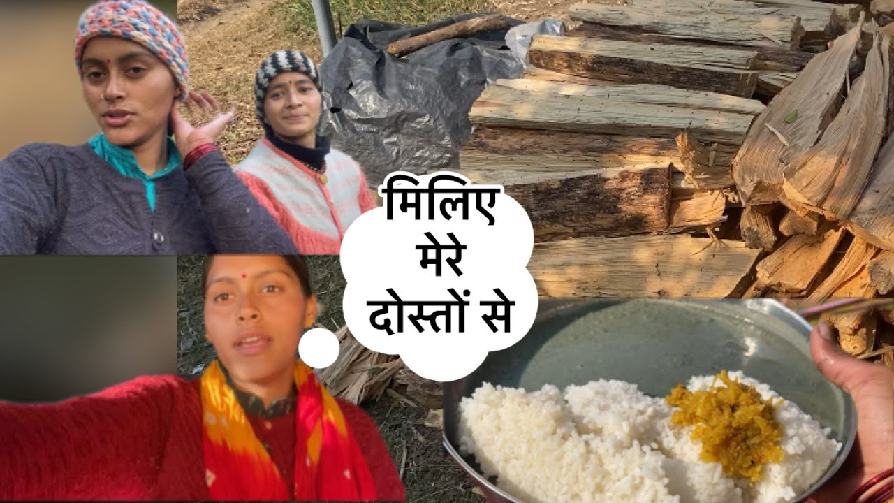 देखिए हमारी जंगल लाइफ 😂😍(वाशु के चाचा लाए उसके लिए गिफ्ट 🥰)#devboomi #phadivibes 
