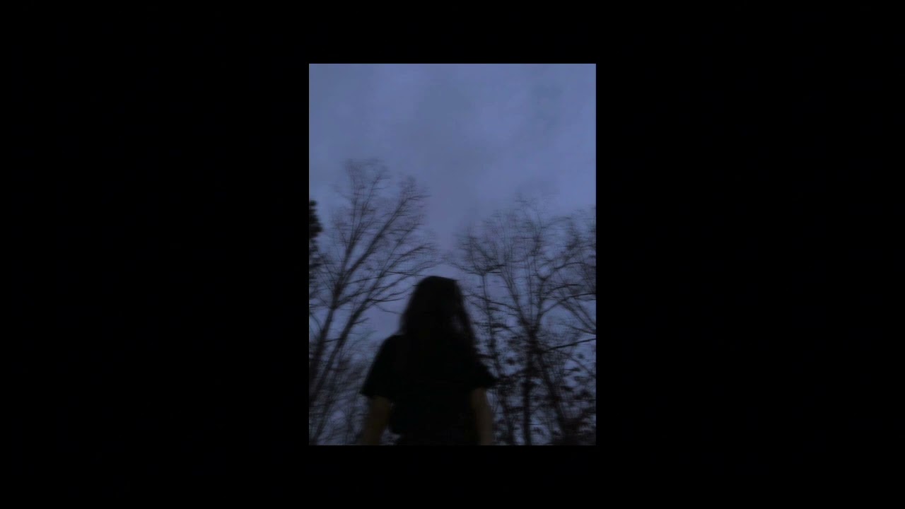 kyote - nie ufam nikomu