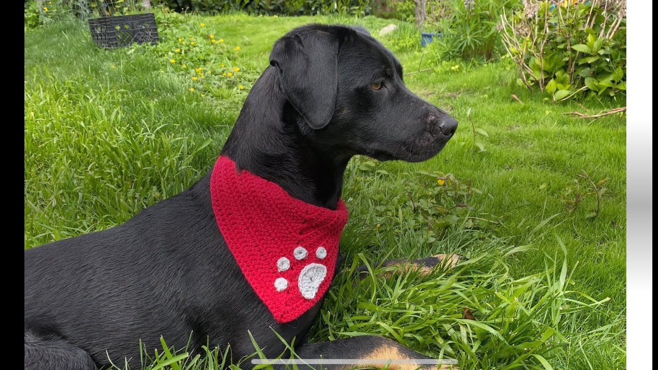 Crochet bandana for furry friends