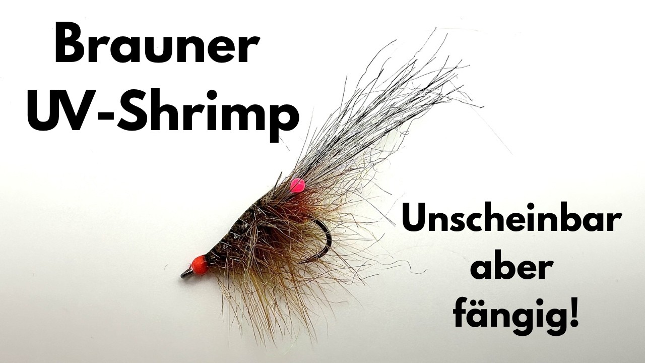 Brauner UV-Shrimp / Sehr effektiv für Meerforelle