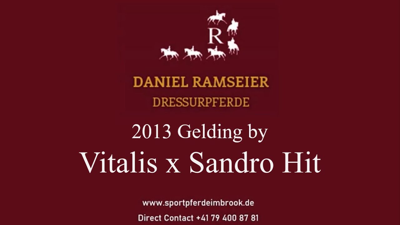 2013 Grand Prix gelding by Vitalis x Sandro Hit - Top quality dressage horse