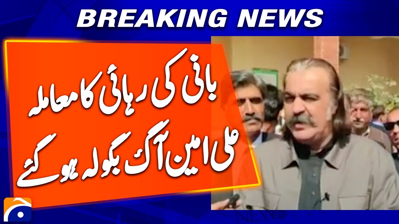 Imran Khan’s Release Sparks Anger in Ali Amin - Breaking News