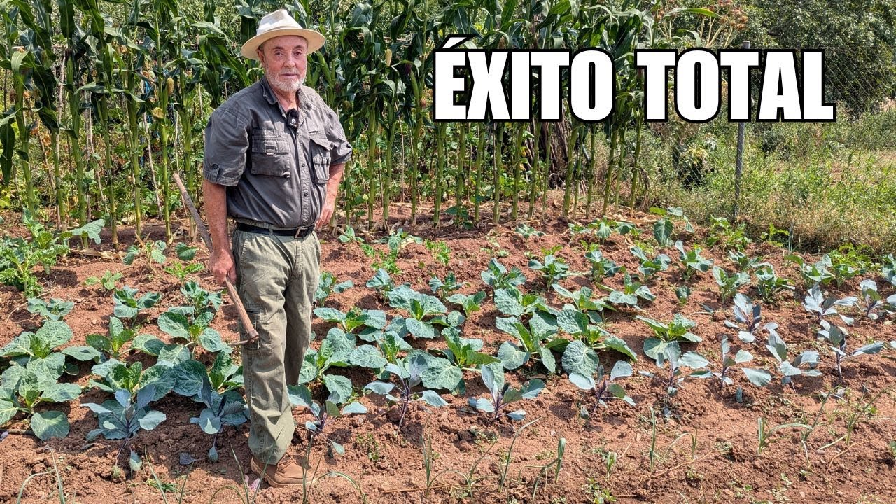 Cómo evoluciona la huerta de invierno en septiembre