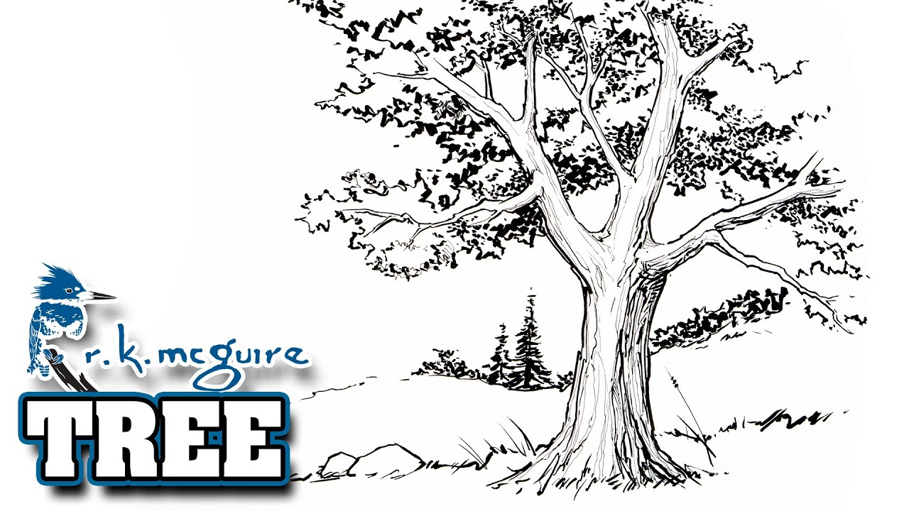 How to Draw a Tree | Pencil and Pen & Ink | Summer Art Series | R K McGuire