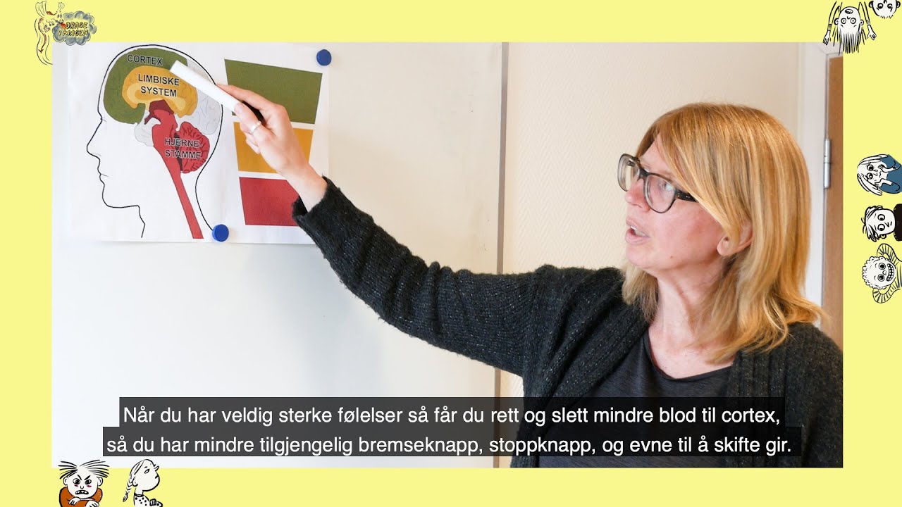 NÅR ORDENE IKKE VIRKER, DEN TREDELTE HJERNEN