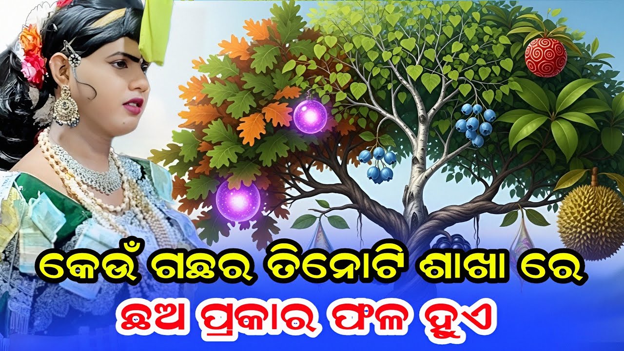 କେଉଁ ଗଛ ର ତିନୋଟି ଶାଖା  ଛଅ ଟି ଫଳ // ramakanta radha // Maa Benjaren Danda Nritya // chindaguda 