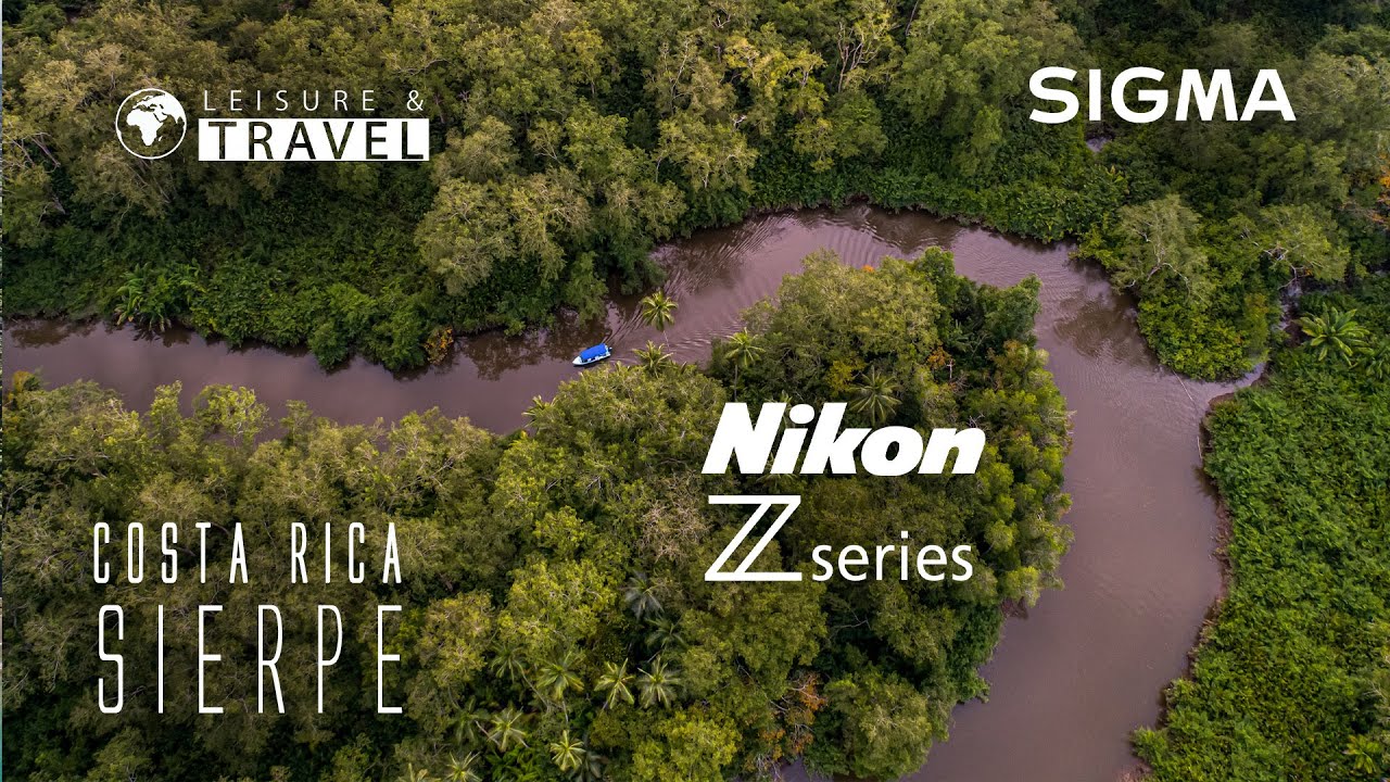 Sierpe Mangrove Forest Wildlife Photography Safari Boat Tour  Costa Rica Nikon Z7 - Sigma 60-600mm S