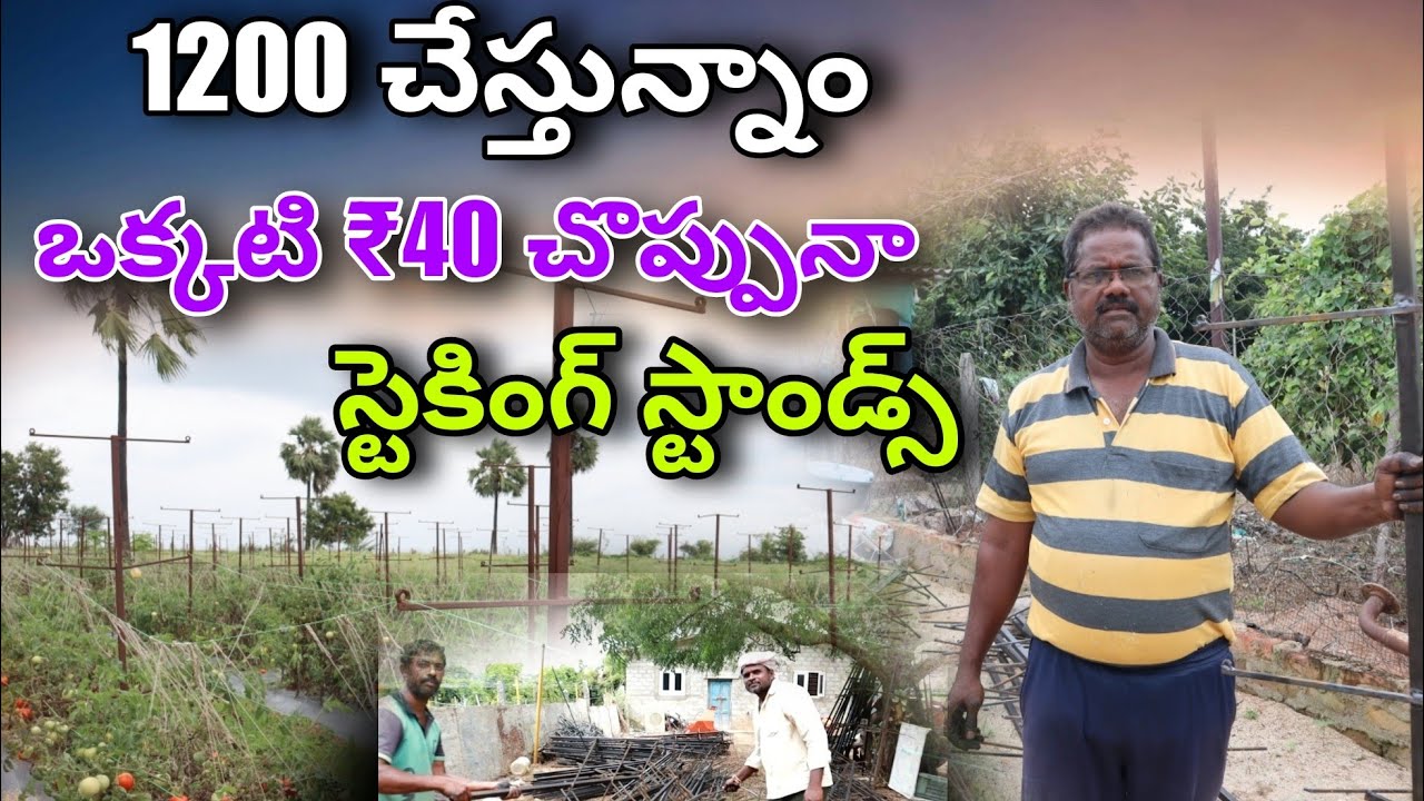 Vegetable staking stands/40 రూ: చొప్పున 1200 స్టాండ్స్ చేస్తున్నాము