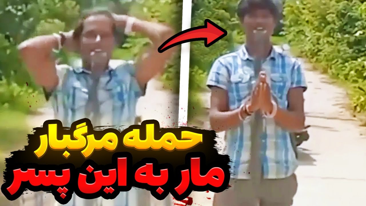 حمله واقعی مار زنده به دهان این پسر مارگیر! خطرناک‌ترین نمایش مرگبار جلوی دوربین