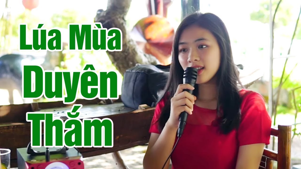 Lúa Mùa Duyên Thắm - Thanh Ngân | Em gái hát cha cha cha chất giọng cực hay