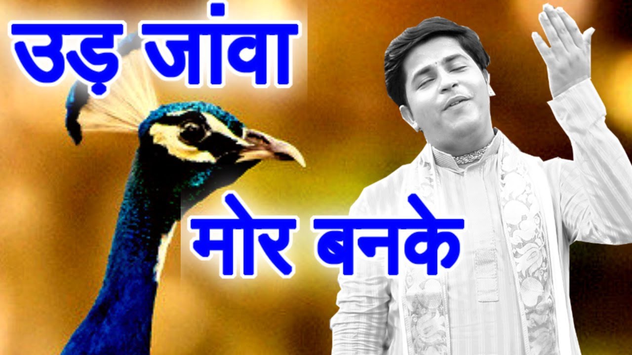 उड़ जांवा मोर बनके || इस भजन को  सुनने से आप जीवन में कभी निराश नहीं होंगे ||Rakesh sharma