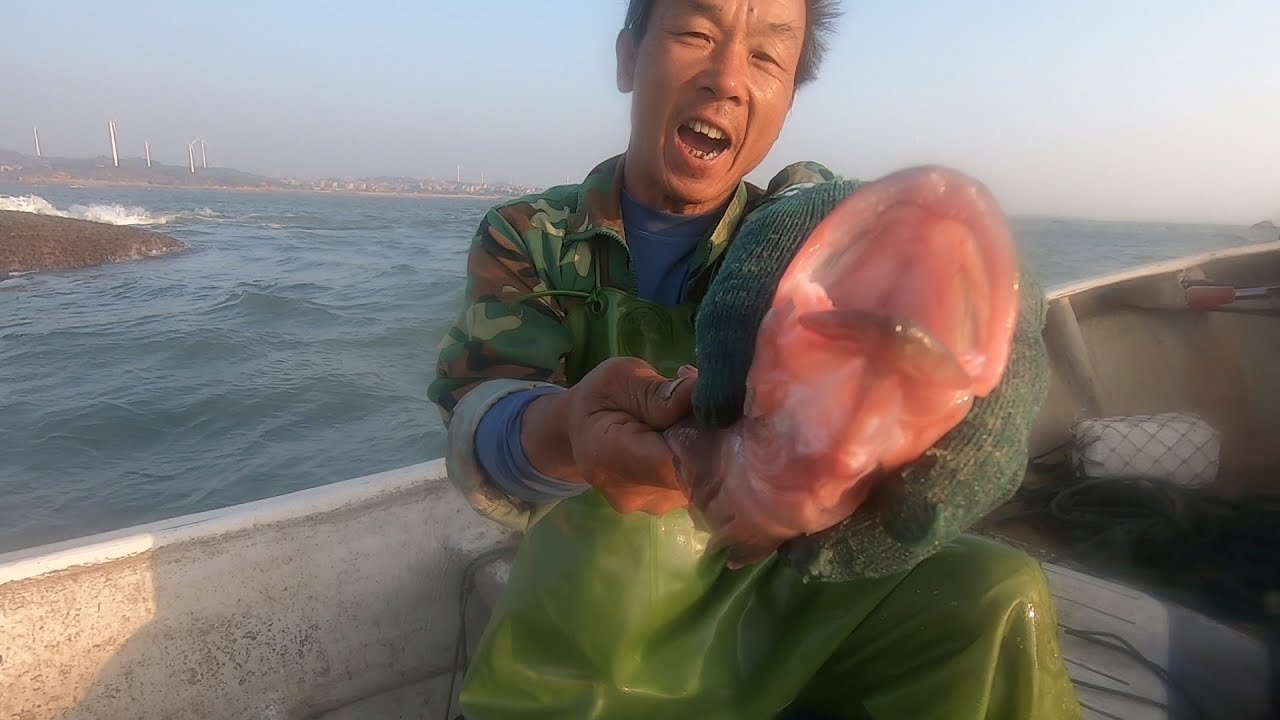 来叔出海拉网运气好！捕300一斤的值钱好货，留几条下锅犒劳自己