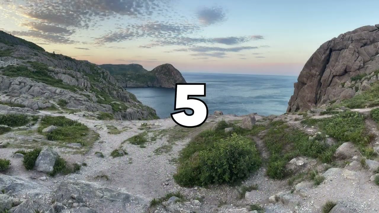 NFLD Top 10