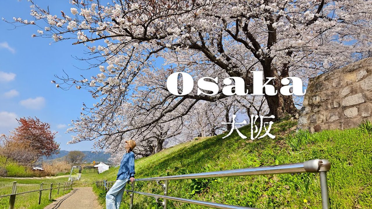 【2025大阪櫻花】經典賞櫻景點Osaka🌸櫻花花況分享！日本旅遊・Japan cherry blossoms 4K Vlog