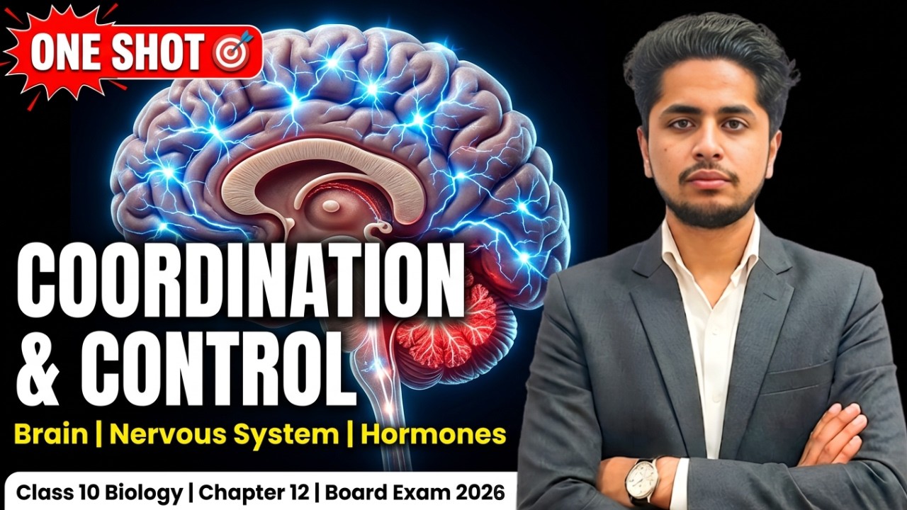Coordination and Control | Complete Chapter 12 | Class 10 Biology | Nervous System, Brain & Hormones